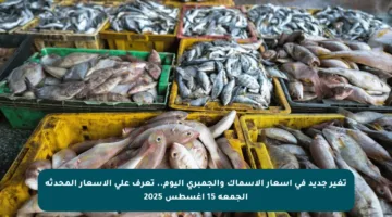 تغير جديد في أسعار الأسماك والجمبري اليوم.. تعرف على الأسعار المحدثة الجمعة 15 أغسطس 2025
